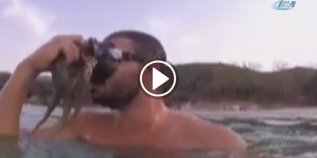 Ahtapot yüzüne yapıştı!