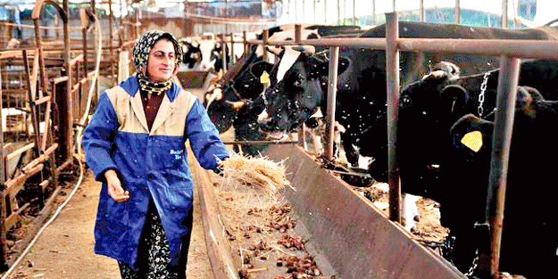 ‘Aile Besiciliği bereket getirir’