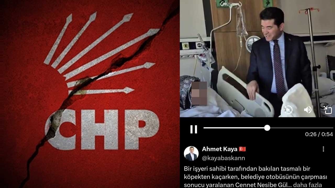 Ailenin talebini paspas gibi çiğnedi! Köpeğin saldırdığı kıza bir darbe de CHP'li başkandan