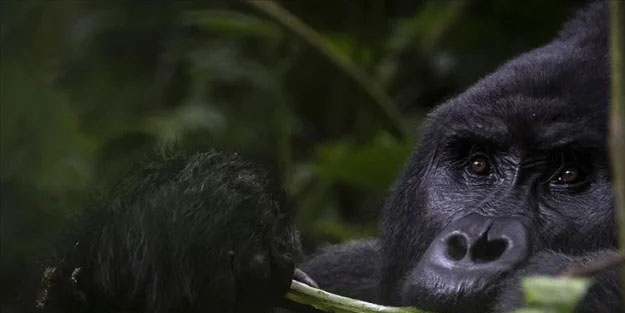 Ailesi her yerde onu arıyordu: Cesedi toprağa gömülü halde bulundu!