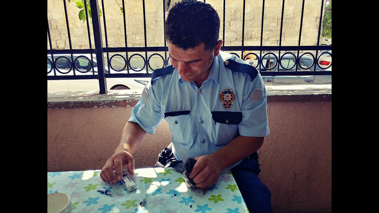 Ailesini katleden polis memurunun 8 yıl önceki şaşırtıcı hareketi! Güvercin kurtarmış