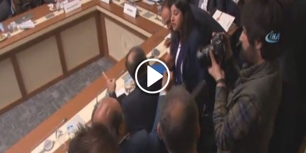 AK Parti ve HDP'li vekiller kavga etti