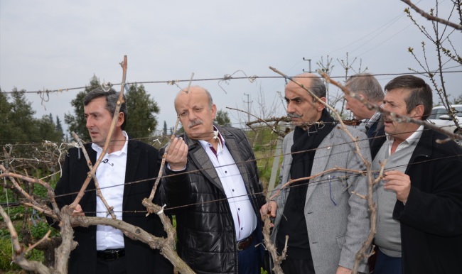 AK Parti Bursa Milletvekili Aydın İznik'te