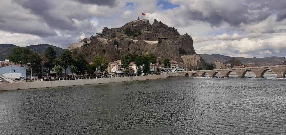 AK Parti Çorum Milletvekili Oğuzhan Kaya; 
