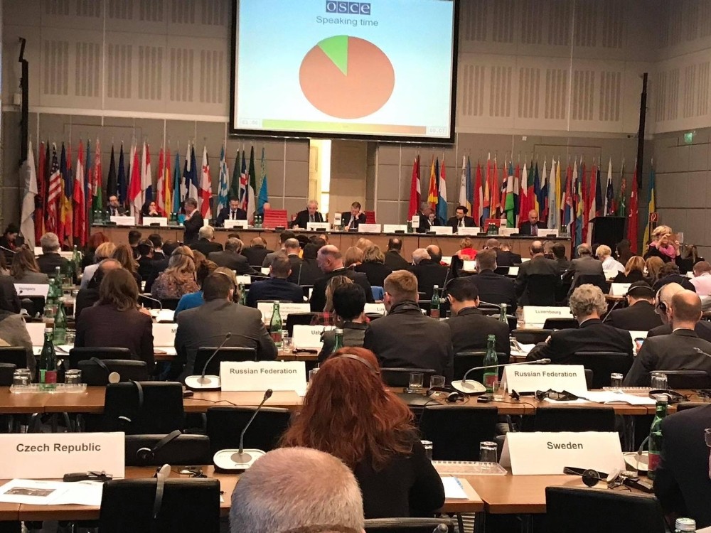 AK Parti Giresun Milletvekili Öztürk, Viyana’da dünya barışı çağrısında bulundu 