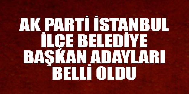 AK Parti İstanbul ilçe belediye başkan adayları son dakika belli oldu Canlı İzle