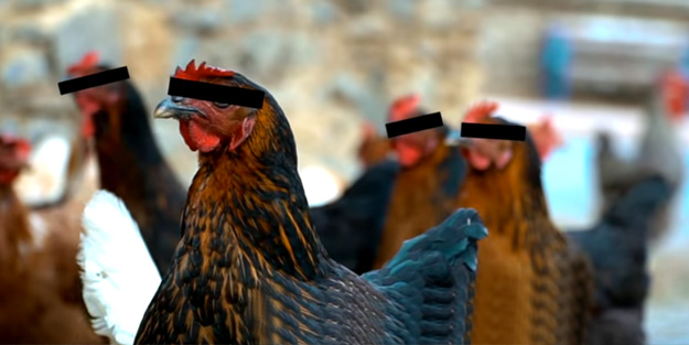 AK Parti'den yeni seçim klibi geldi