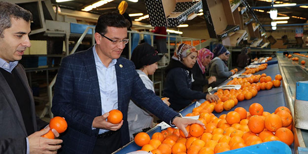 AK Partili Atay Uslu açıkladı: Sigorta süresi prim ödemeksizin uzatıldı