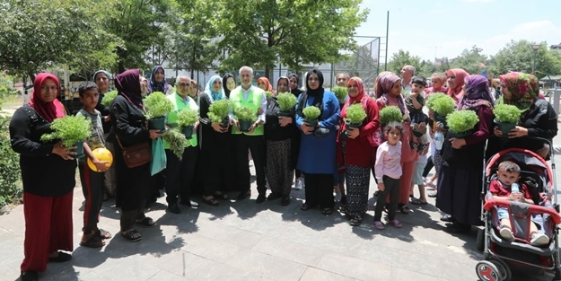 AK Partili belediyeden evinin önünü temiz tutanlara ödül!