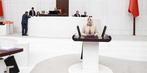 AK Partili vekil TBMM kürsüsünden HDP'ye böyle had bildirdi!