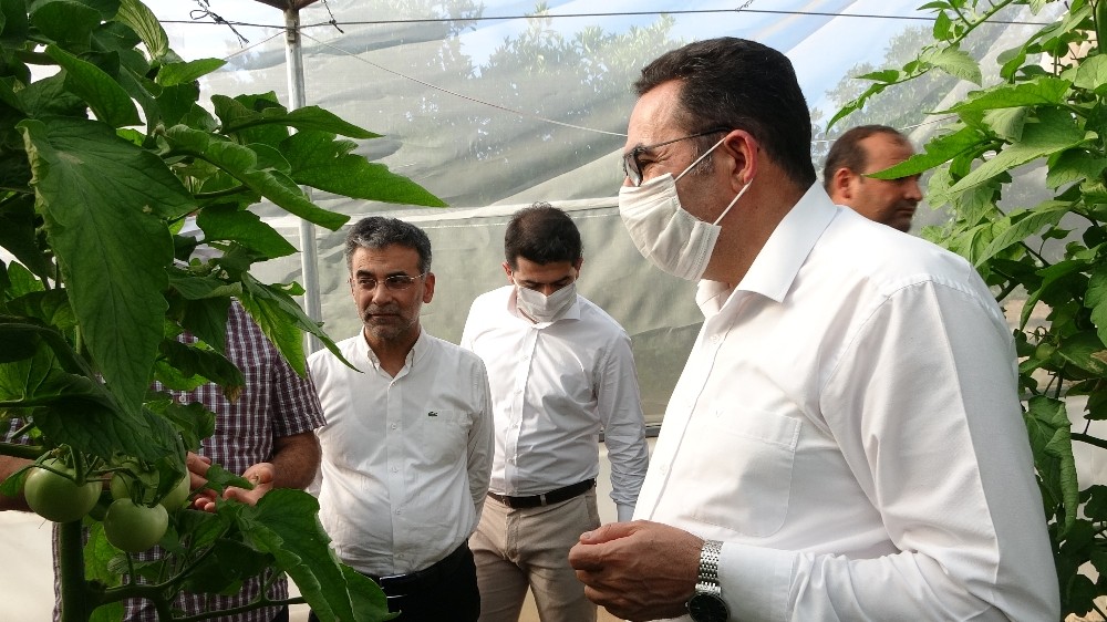 AK Parti’li Doğru: 
