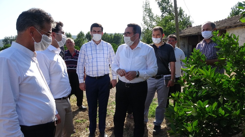 AK Parti’li Doğru: 