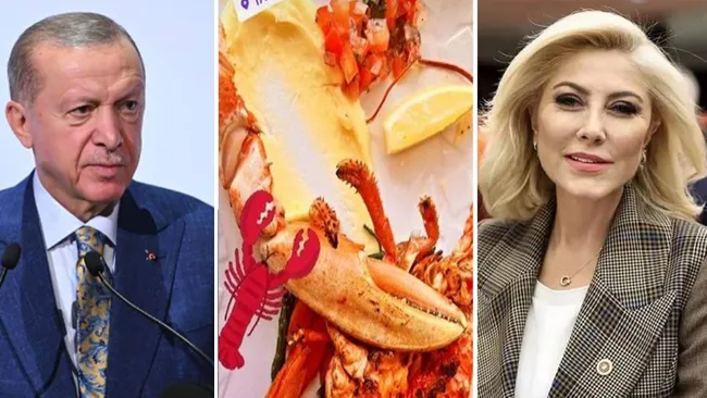 AK Partili Şebnem Bursalı’nın paylaşımı maşeri vicdanı yaralamıştı! Erdoğan’dan flaş "ıstakoz" hamlesi