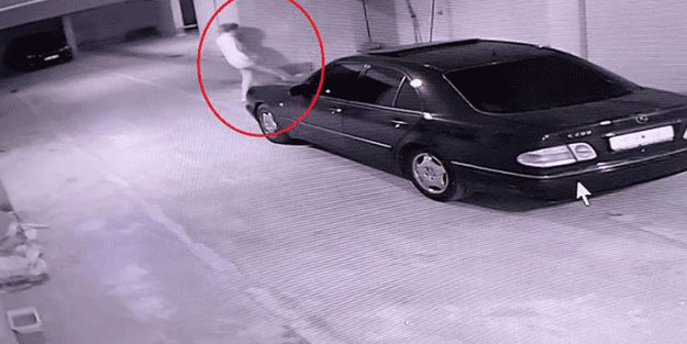 Akademisyenin yaptıkları kan dondurdu! Garaja sığınan köpeklere böyle eziyet etti