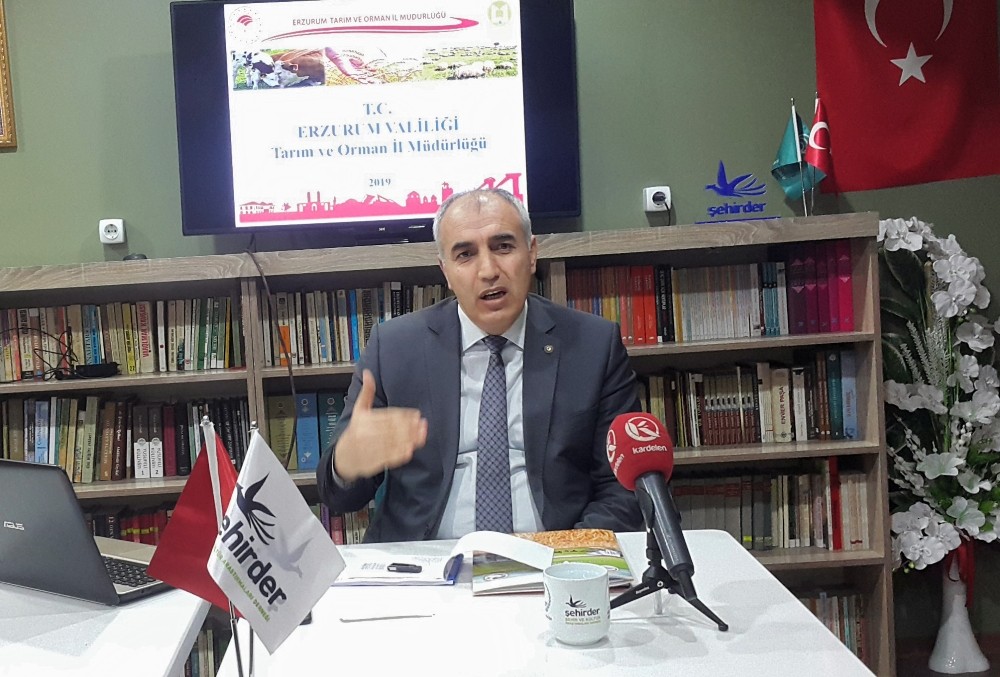 Akar: 