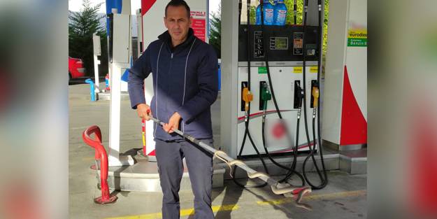 Akaryakıt istasyonunda 'yılan' paniği!