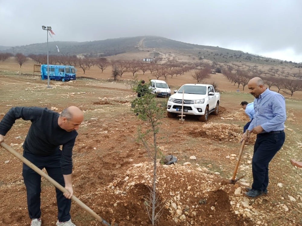 Akçadağ’da fidanlar toprakla buluştu 