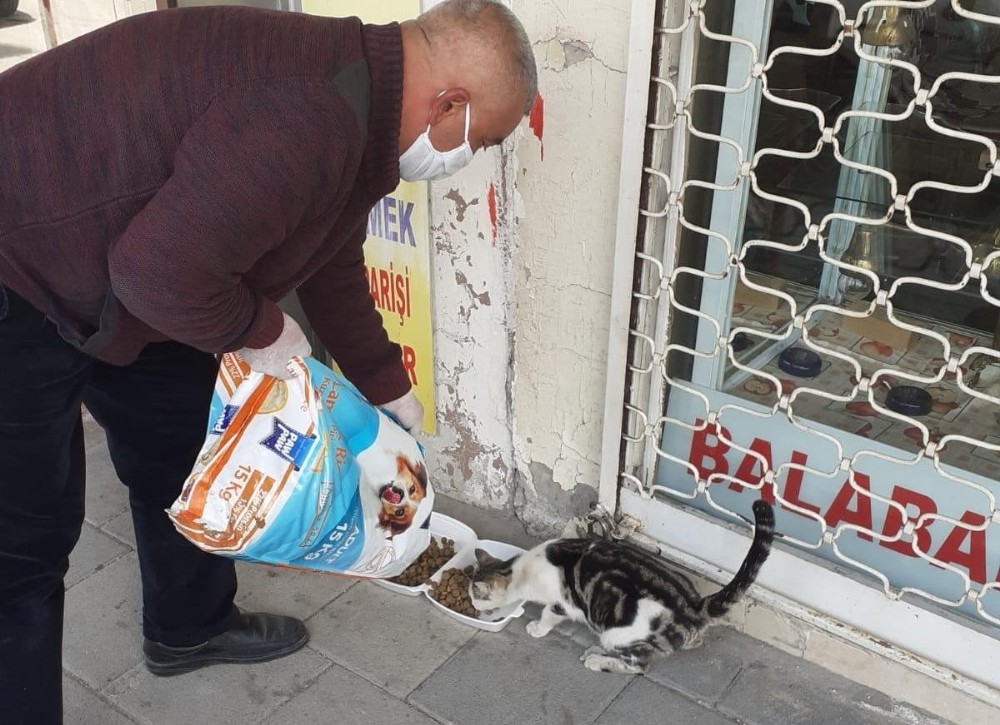 Akçadağ’da sokak hayvanları unutulmadı 