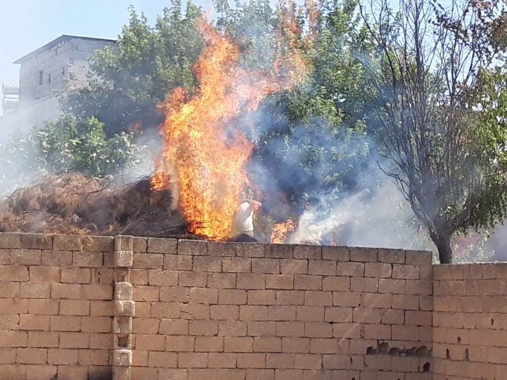 Akçakale’de odunlukta çıkan yangın korkuttu 