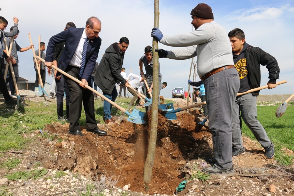 Akçakale’de yeşillendirme çalışmaları 