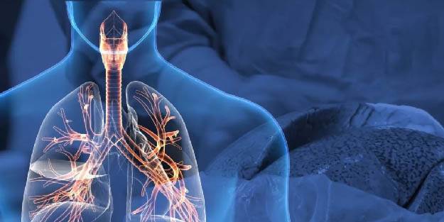 Akciğer nakli ile ilgili umut verici araştırma: Tüm kan gruplarına dönüştürülebilir