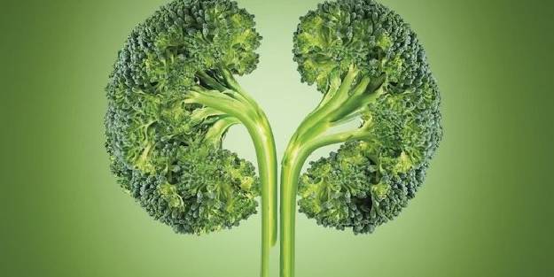 Akciğerinizi brokoli, karaciğerinizi enginarla koruyun