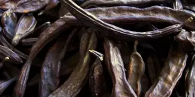 Akciğerleri yenileyen 6 mucize besin: Kış için olmazsa olmaz! Duyan şaştı kaldı!