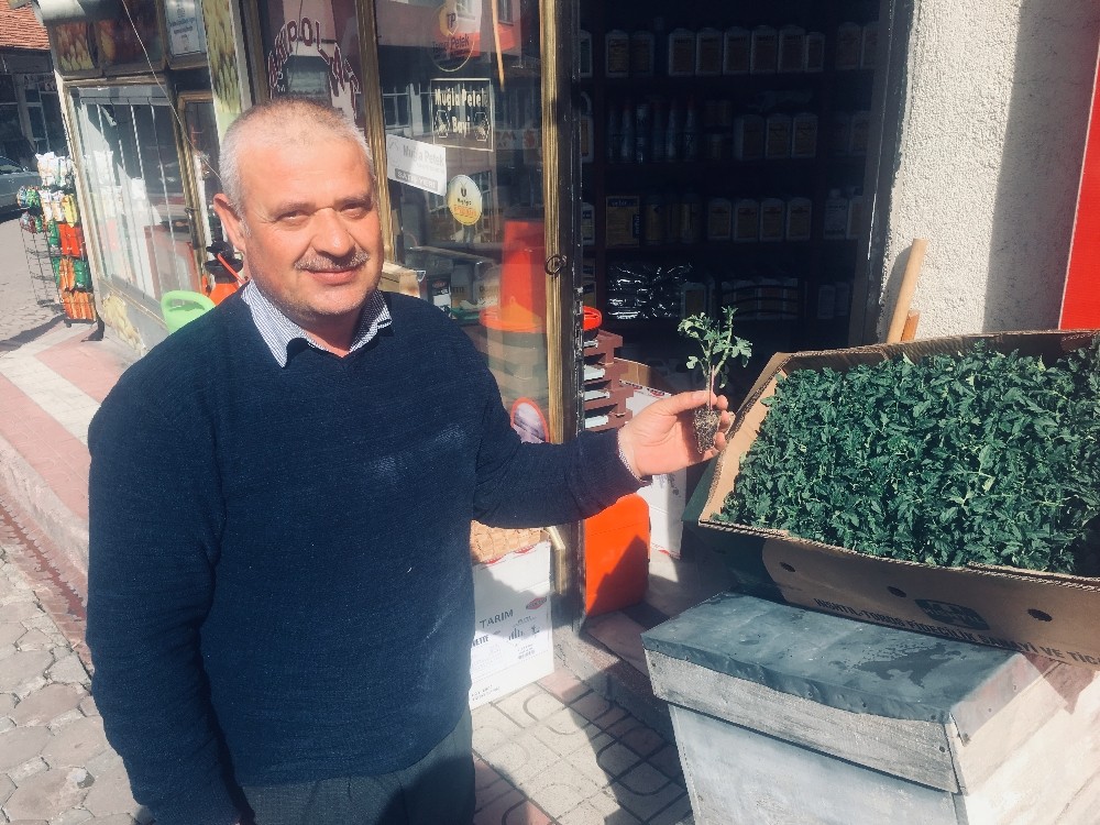 Akdağmadeni’nde tohum ve fide satışları başladı 