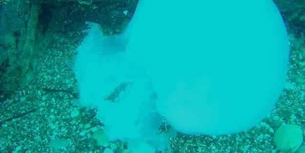 Antalya Körfezi'nde hayrete düşüren görüntü