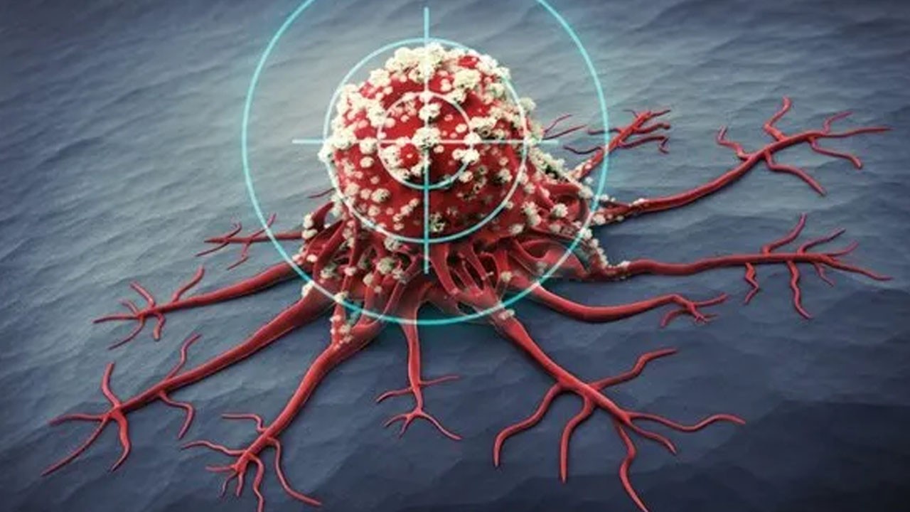 Akdeniz tipi beslenilmeli: Büyük hata sebebi! Kanser yapıyor, organları zehirliyor!