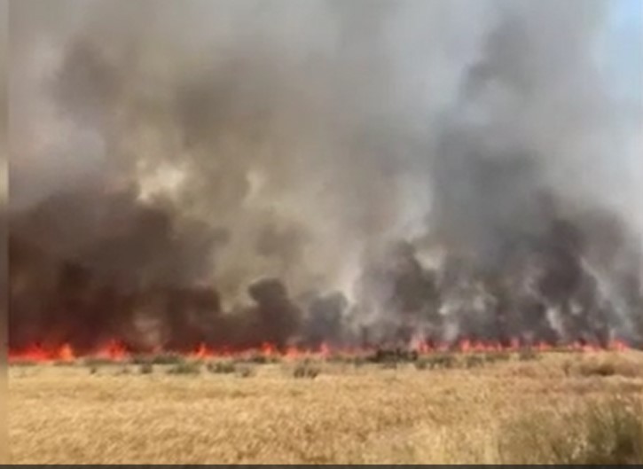 Akdeniz Üniversitesi'nde yangın paniği! 250 dekar arazi kül oldu!