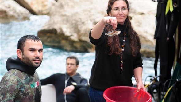 Büyük tehlike! Hızla yayılıyor....