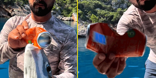 Akdeniz'de bunun benzeri yok! Tenekeyi kraker gibi yedi