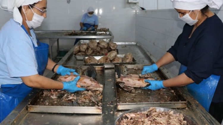 Akdeniz'de ihracatçının yeni hedefi Japonya