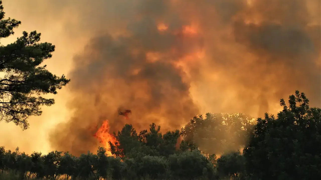 Akdeniz'de orman yangını
