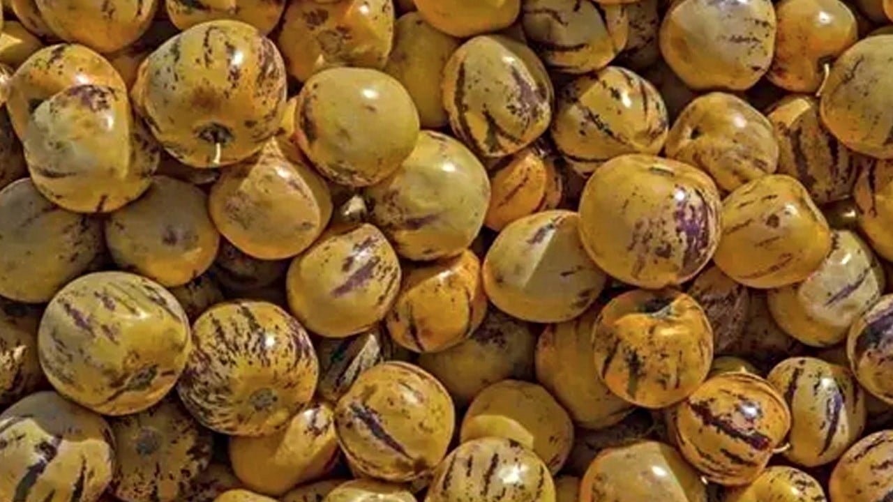 En zengin potasyum kaynağıymış Kilosu 120 TL: Öyle büyük bir şifa kaynağı ki!