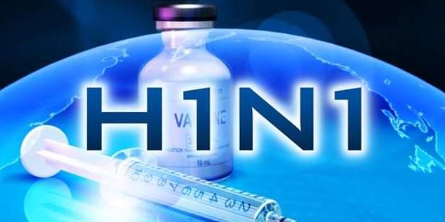 'Domuz gribi koca bir yalan'