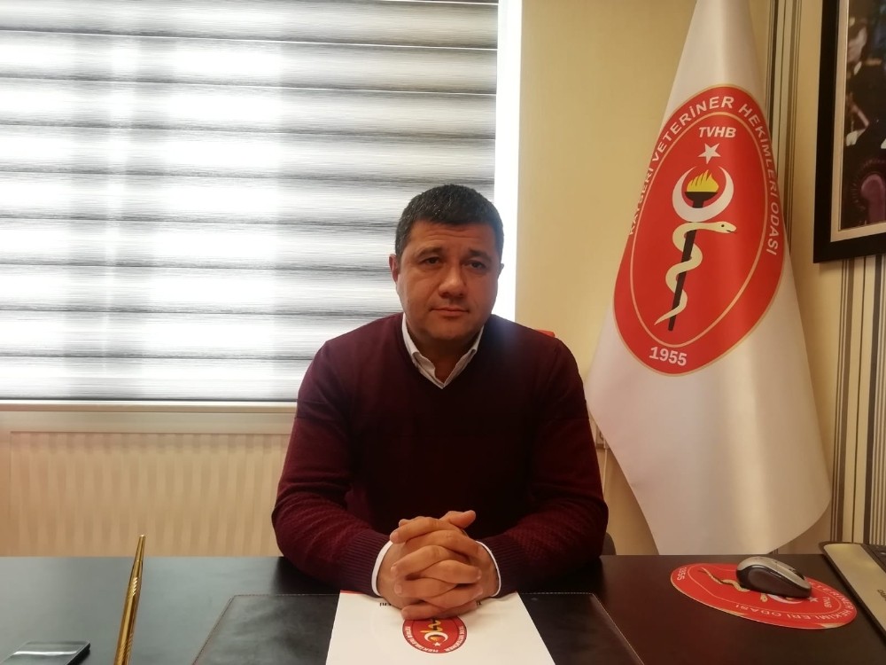 Akgün Ergül: “Kuş gribi, Covid-19’a göre daha ölümcül bir virüstür” 