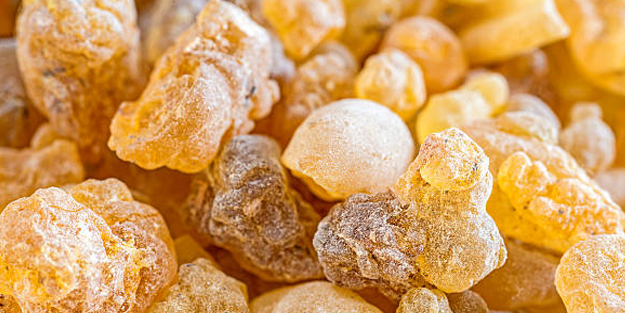 Akgünlük sakızı: Geçmeyen öksürük için nasıl kullanılır? Öyle bir şey ki...