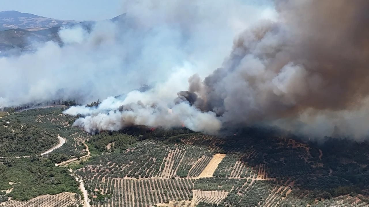 Akhisar'daki orman yangını 3 gündür sürüyor!