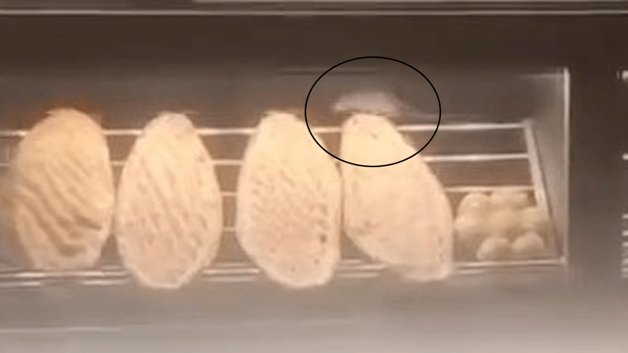 Akıl almaz görüntü: Fare ekmeklerin üzerinde yürürken görüldü!