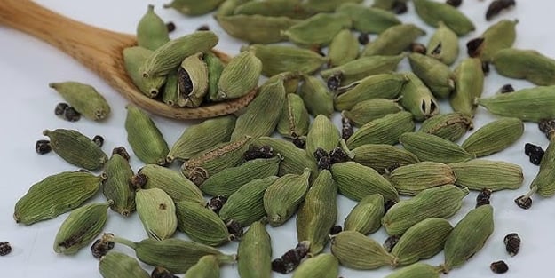 Akırı Karha: Bitkinin bilinmeyen faydası ortaya çıktı!