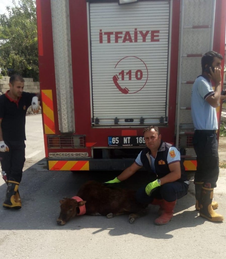 Akköprü deresine düşen inek itfaiye ekipleri tarafından kurtarıldı 