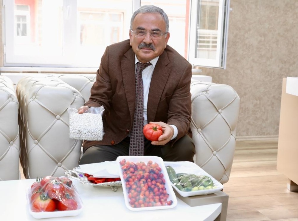 Akkuş fasulyesinin üretimi artacak 