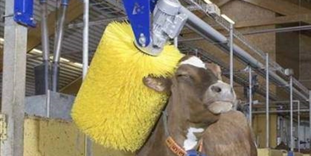 Akla zarar çözümler - FOTO