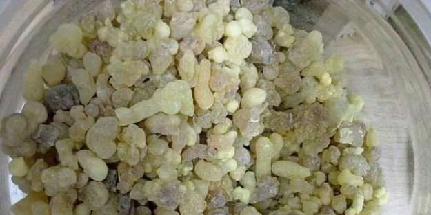 Aklınıza gelebilecek her hastalığa faydası var!