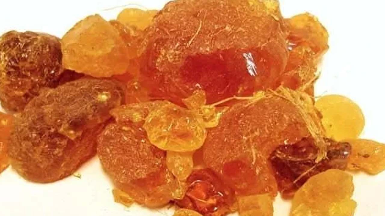 Aklınıza gelebilecek her hastalığa faydası var! Herkes bunun peşinde!