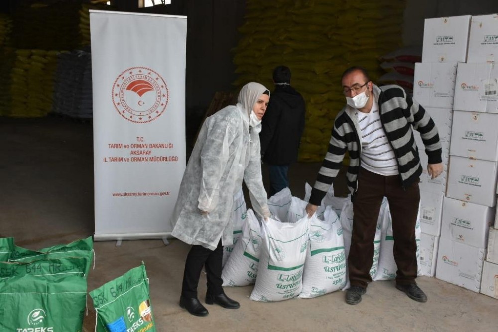 Aksaray’da çiftçilere kuru fasulye ve mısır tohumu dağıtıldı 