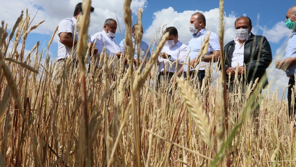 Aksaray’da dolu 70 bin dekar arazide hasara sebep oldu 