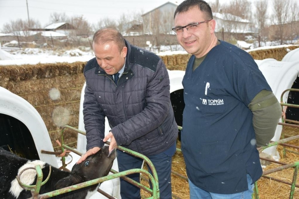 Aksaray’da hayvancılık işletmeleri denetleniyor 